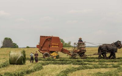Fotografía ilustrativa para: Falla eléctrica afecta barrios al norte; equipos trabajan para normalizar