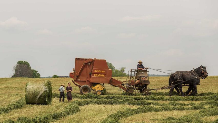 Fotografía ilustrativa para: Falla eléctrica afecta barrios al norte; equipos trabajan para normalizar